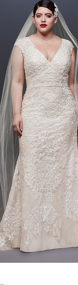 18W Wedding gown, never worn from Davids bridal